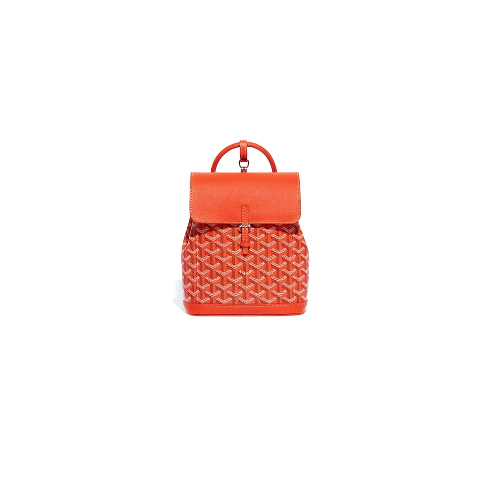 Goyard Alpin Mini Backpack